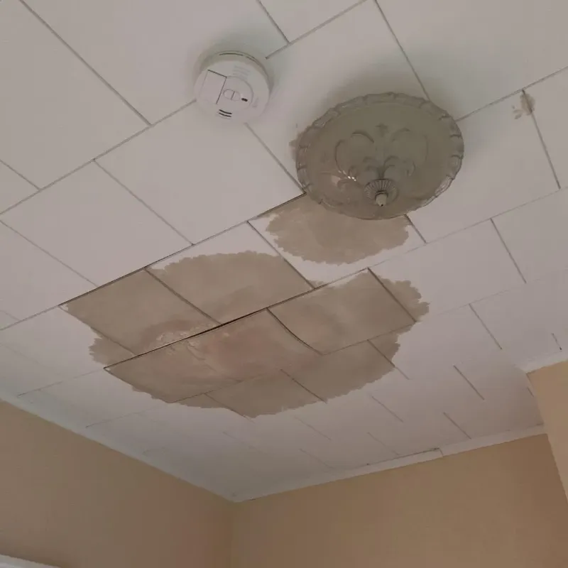 Ceiling Water Damage Repair in Gaylord, MN