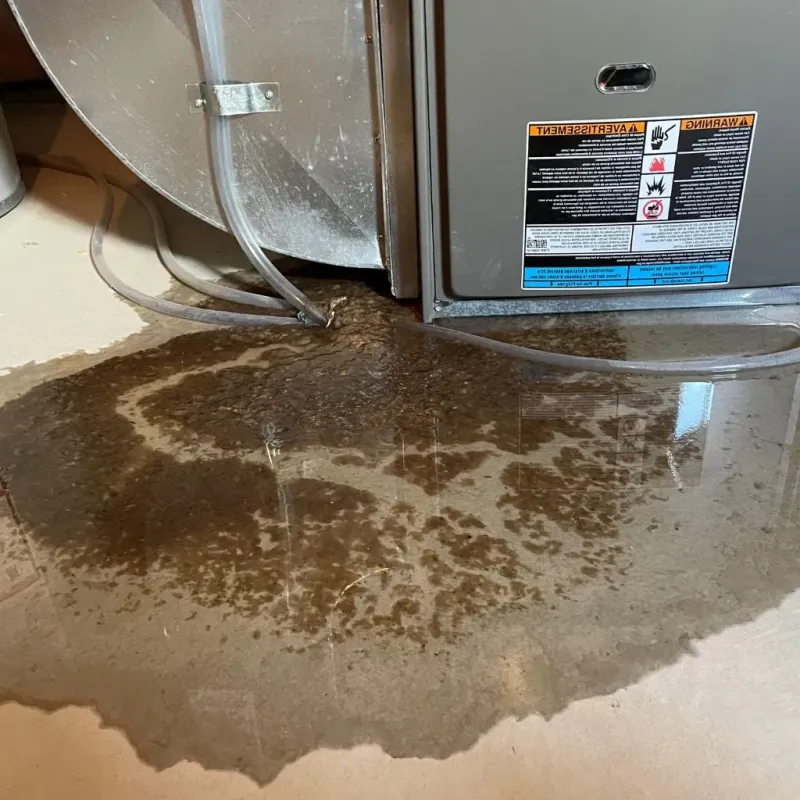 Pipe Burst and Leak Restoration in Gaylord, MN